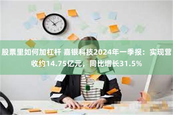 股票里如何加杠杆 嘉银科技2024年一季报：实现营收约14.75亿元，同比增长31.5%