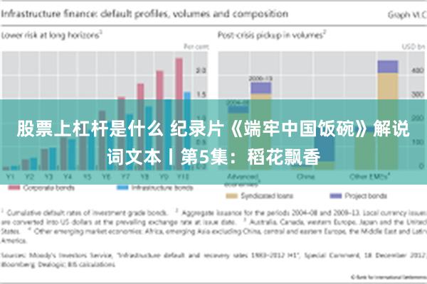 股票上杠杆是什么 纪录片《端牢中国饭碗》解说词文本丨第5集：稻花飘香