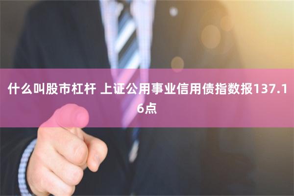 什么叫股市杠杆 上证公用事业信用债指数报137.16点