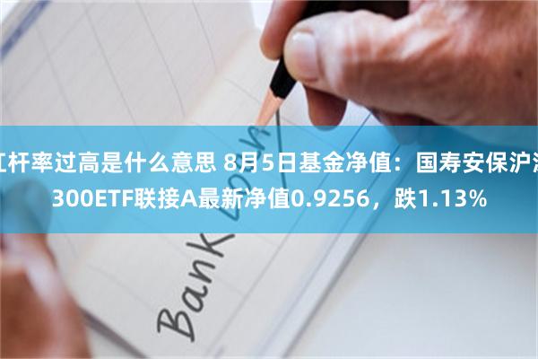 杠杆率过高是什么意思 8月5日基金净值：国寿安保沪深300ETF联接A最新净值0.9256，跌1.13%