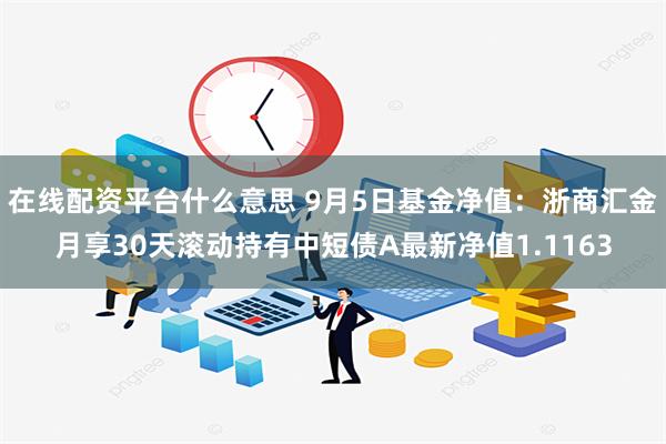 在线配资平台什么意思 9月5日基金净值：浙商汇金月享30天滚动持有中短债A最新净值1.1163