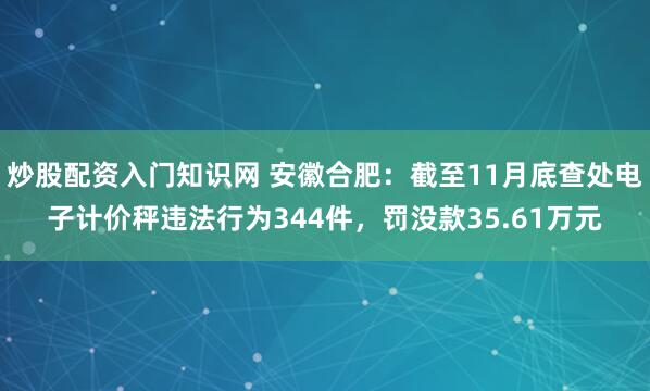 炒股配资入门知识网 安徽合肥：截至11月底查处电子计价秤违法行为344件，罚没款35.61万元