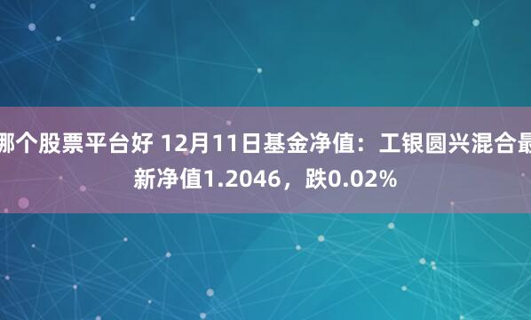 哪个股票平台好 12月11日基金净值：工银圆兴混合最新净值1.2046，跌0.02%