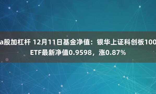 a股加杠杆 12月11日基金净值：银华上证科创板100ETF最新净值0.9598，涨0.87%