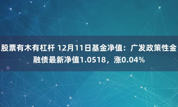 股票有木有杠杆 12月11日基金净值：广发政策性金融债最新净值1.0518，涨0.04%