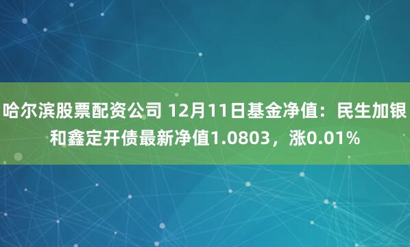 哈尔滨股票配资公司 12月11日基金净值：民生加银和鑫定开债最新净值1.0803，涨0.01%