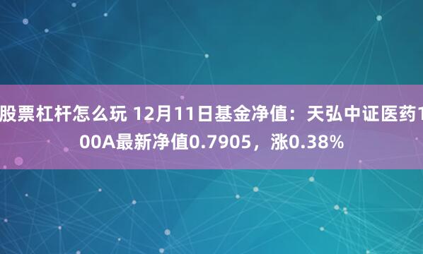 股票杠杆怎么玩 12月11日基金净值：天弘中证医药100A最新净值0.7905，涨0.38%