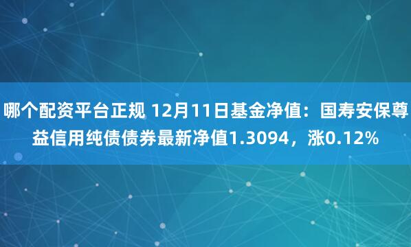 哪个配资平台正规 12月11日基金净值：国寿安保尊益信用纯债债券最新净值1.3094，涨0.12%