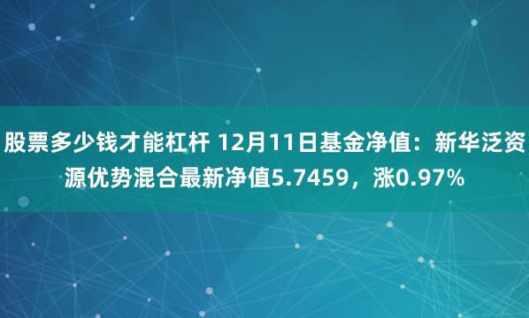 股票多少钱才能杠杆 12月11日基金净值：新华泛资源优势混合最新净值5.7459，涨0.97%