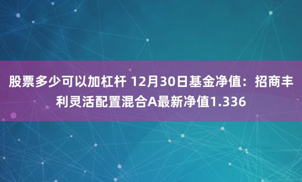 股票多少可以加杠杆 12月30日基金净值：招商丰利灵活配置混合A最新净值1.336