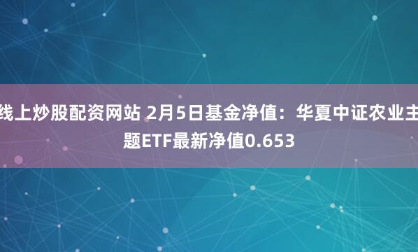 线上炒股配资网站 2月5日基金净值：华夏中证农业主题ETF最新净值0.653