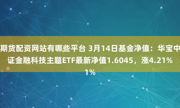 期货配资网站有哪些平台 3月14日基金净值：华宝中证金融科技主题ETF最新净值1.6045，涨4.21%